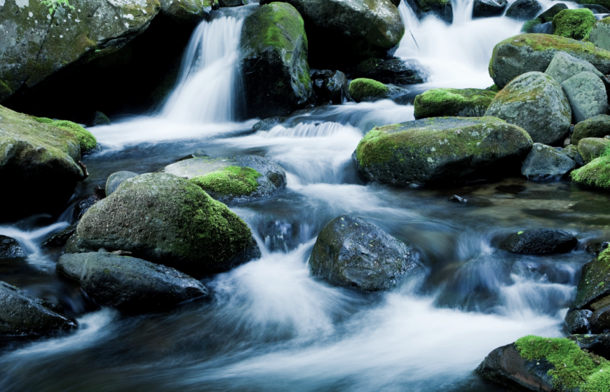 新日興股份有限公司